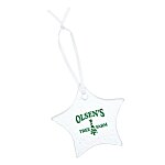 Hammered Glass Ornament - Star