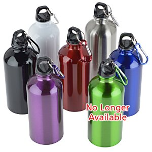 4imprint.ca: Carabiner Stainless Steel Water Bottle - 16 oz. C105118