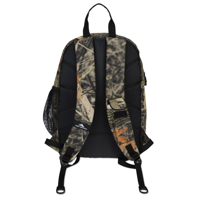 high sierra dragon backpack