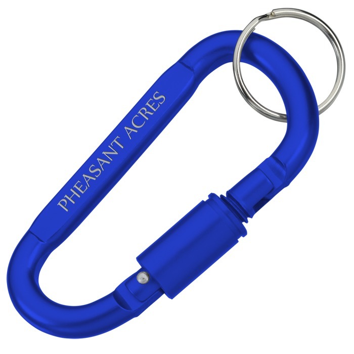 4imprint.ca Carabiner Lock Keychain C144966