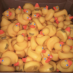 Box full of many many Rubber Ducks